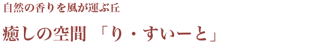 癒しの空間　「コテージ りすいーと」